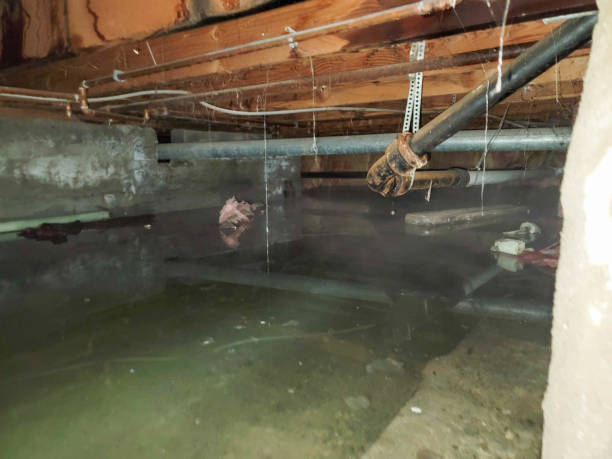 Best Fire Damage Restoration  in Timberville, VA