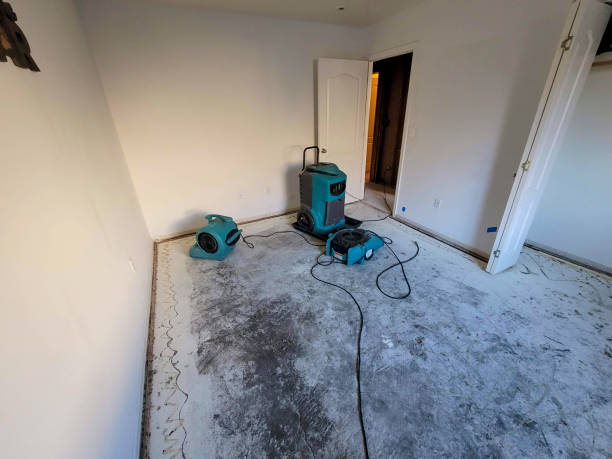 Best Sewage cleanup and water damage restoration  in Timberville, VA