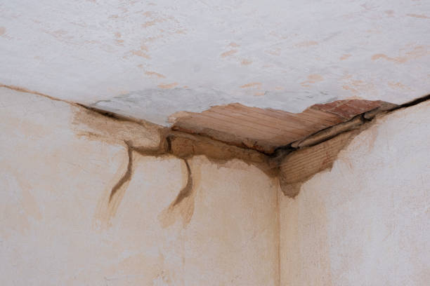 Best Water damage contractors near me  in Timberville, VA