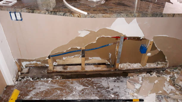 Best Carpet water damage restoration  in Timberville, VA
