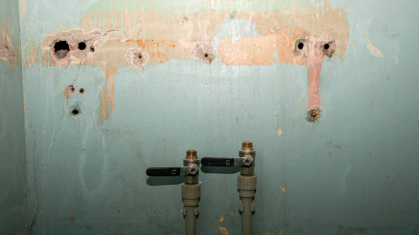 Best Flooded house restoration  in Timberville, VA