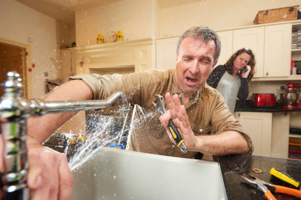 Best Water damage restoration near me  in Timberville, VA
